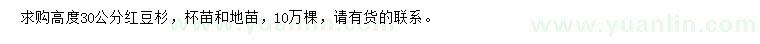 求購高度30公分紅豆杉