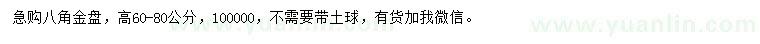 求購(gòu)高60-80公分八角金盤