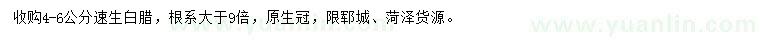 求購(gòu)4-6公分速生白臘