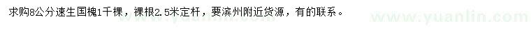求購8公分速生國槐
