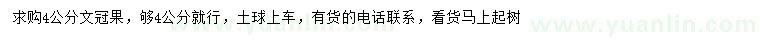 求購(gòu)4公分文冠果