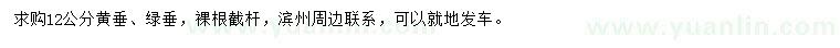求購(gòu)12公分黃垂、綠垂