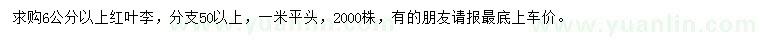 求購6公分以上紅葉李