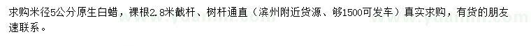 求購米徑5公分原生白蠟
