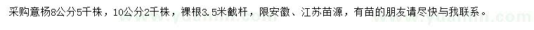 求購(gòu)8、10公分意楊
