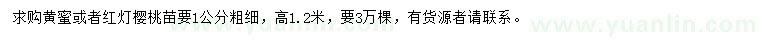 求購1公分黃蜜或紅燈櫻桃苗