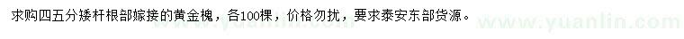 求購4、5公分黃金槐