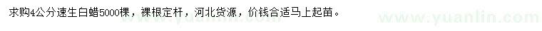 求購4公分速生白蠟
