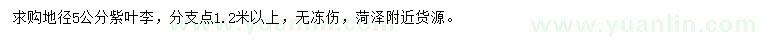 求購(gòu)地徑5公分紫葉李