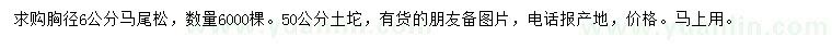 求購胸徑6公分馬尾松