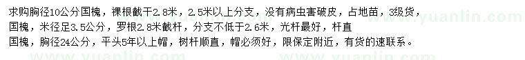求購3.5、10、24公分國槐