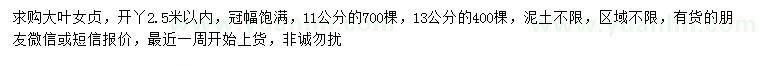 求購11、13公分大葉女貞