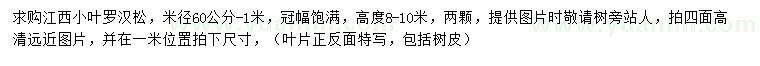 求購米徑60公分-1米小葉羅漢松