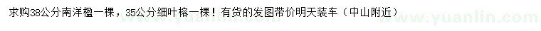 求購(gòu)38公分南洋楹、35公分細(xì)葉榕