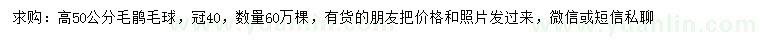 求購高50公分毛鵑毛球