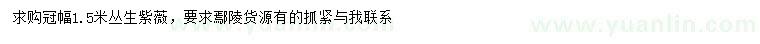 求購冠幅1.5米叢生紫薇