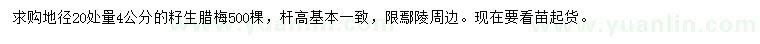 求購地徑20處量4公分臘梅