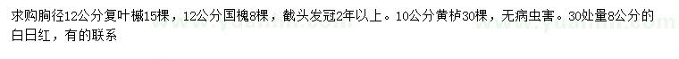 求購復葉槭、國槐、黃櫨等