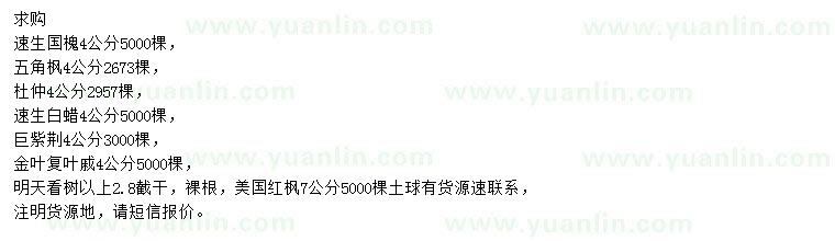 求購(gòu)速生國(guó)槐、五角楓、杜仲等
