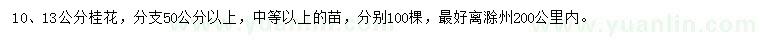 求購10、13公分桂花