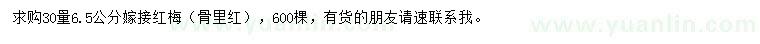 求購(gòu)30量6.5公分嫁接紅梅（骨里紅）