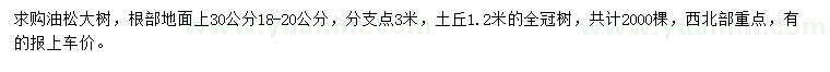 求購根部地面上30量18-20公分油松