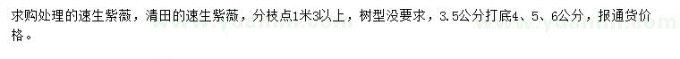求購4、5、6公分處理速生紫薇