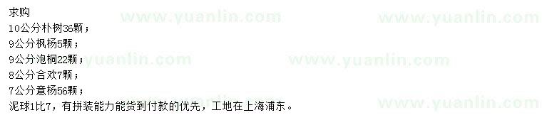 求購樸樹、楓楊、泡桐等