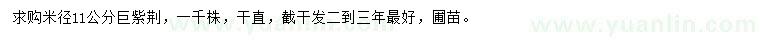 求購米徑11公分巨紫荊