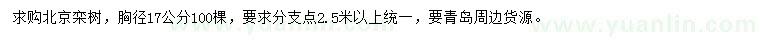 求購(gòu)胸徑17公分北京欒樹