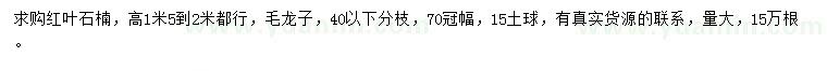 求購高1.5-2米紅葉石楠