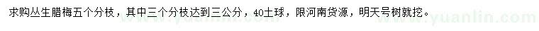 求購(gòu)叢生臘梅