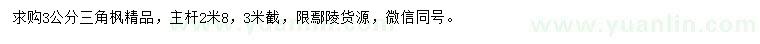 求購3公分三角楓