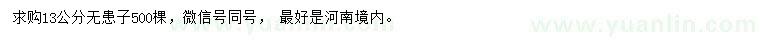 求購13公分無(wú)患子
