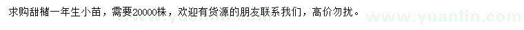 求購甜櫧小苗