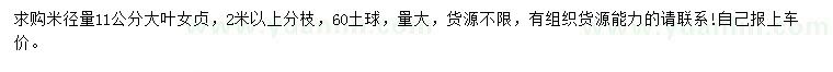 求購米徑量11公分大葉女貞