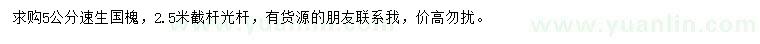 求購(gòu)5公分速生國(guó)槐