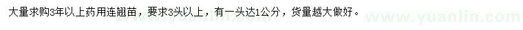 求購3年以上藥用連翹苗