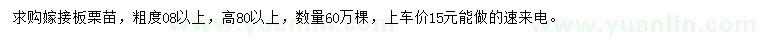求購粗度0.8公分以上嫁接板栗苗