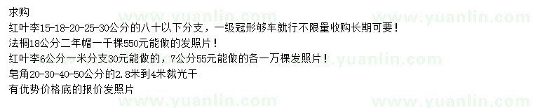 求購紅葉李、法桐、皂角