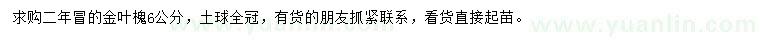 求購6公分金葉槐