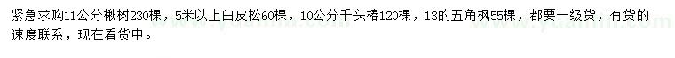求購楸樹、白皮松、千頭椿等