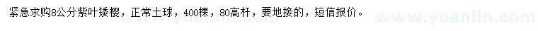 求購8公分紫葉矮櫻