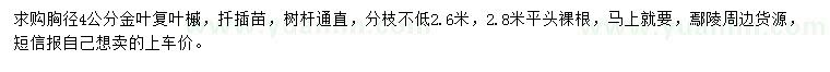求購(gòu)胸徑4公分金葉復(fù)葉槭