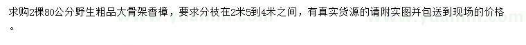 求購(gòu)80公分香樟