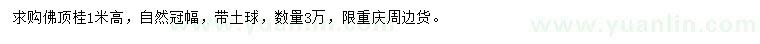 求購高1米佛頂桂