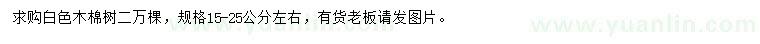 求購(gòu)15-25公分左右白色木棉樹