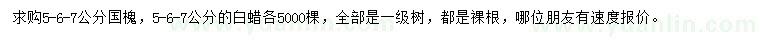 求購5、6、7公分國槐、白蠟