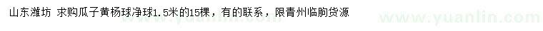 求購1.5米瓜子黃楊球