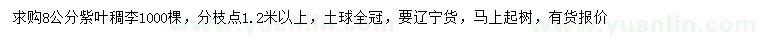 求購8公分紫葉稠李